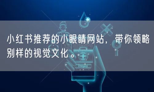 小红书推荐的小眼睛网站，带你领略别样的视觉文化。