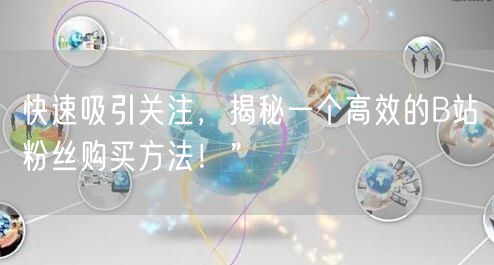 快速吸引关注，揭秘一个高效的B站粉丝购买方法！”