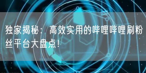独家揭秘：高效实用的哔哩哔哩刷粉丝平台大盘点！