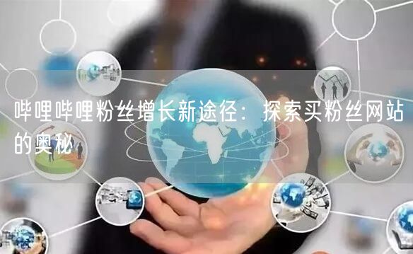 哔哩哔哩粉丝增长新途径：探索买粉丝网站的奥秘