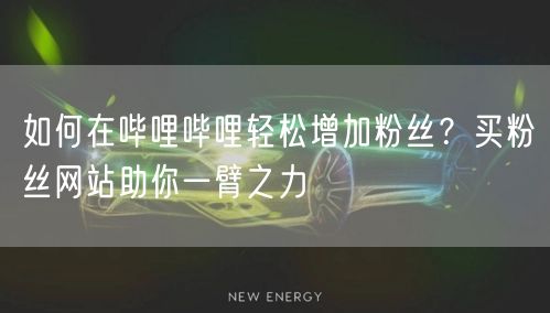 如何在哔哩哔哩轻松增加粉丝？买粉丝网站助你一臂之力