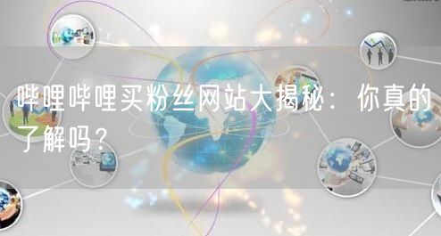 哔哩哔哩买粉丝网站大揭秘：你真的了解吗？