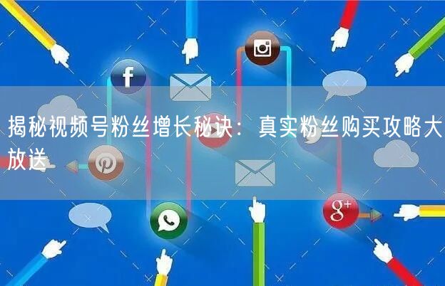 揭秘视频号粉丝增长秘诀：真实粉丝购买攻略大放送