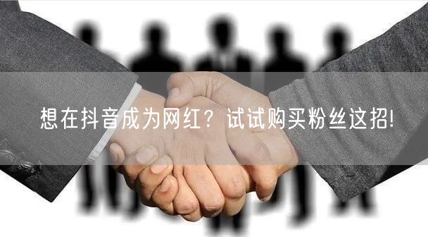 想在抖音成为网红？试试购买粉丝这招!