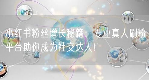 小红书粉丝增长秘籍：专业真人刷粉平台助你成为社交达人！