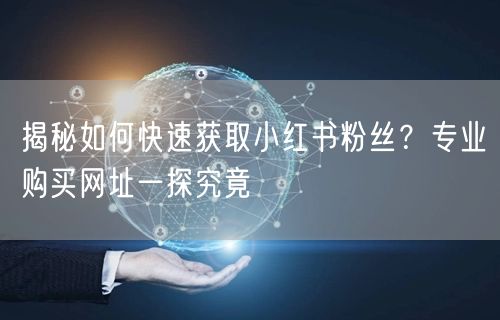 揭秘如何快速获取小红书粉丝？专业购买网址一探究竟