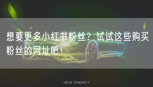 想要更多小红书粉丝？试试这些购买粉丝的网址吧！