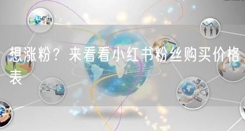 想涨粉？来看看小红书粉丝购买价格表