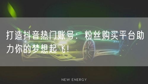 打造抖音热门账号：粉丝购买平台助力你的梦想起飞！