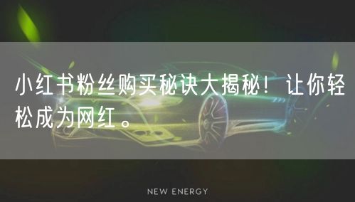 小红书粉丝购买秘诀大揭秘！让你轻松成为网红。