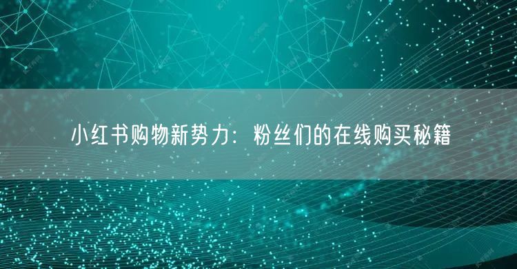 小红书购物新势力：粉丝们的在线购买秘籍