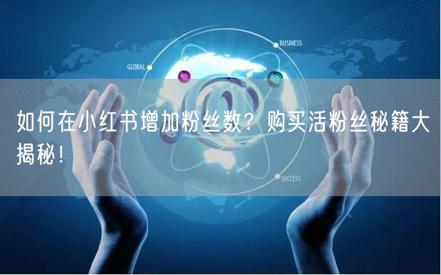 如何在小红书增加粉丝数？购买活粉丝秘籍大揭秘！