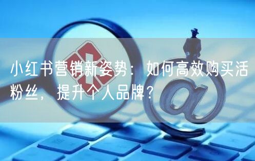 小红书营销新姿势：如何高效购买活粉丝，提升个人品牌？