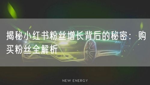 揭秘小红书粉丝增长背后的秘密：购买粉丝全解析