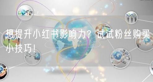 想提升小红书影响力？试试粉丝购买小技巧！