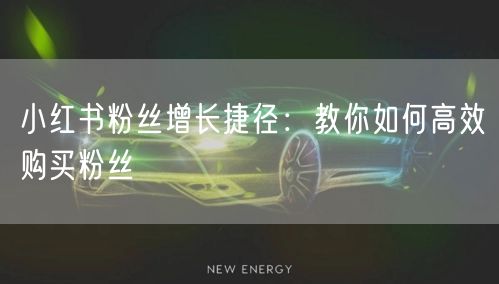 小红书粉丝增长捷径：教你如何高效购买粉丝