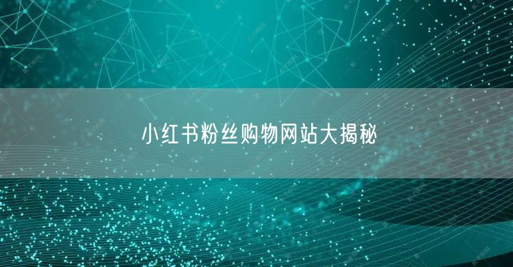 小红书粉丝购物网站大揭秘
