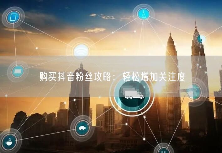 购买抖音粉丝攻略：轻松增加关注度