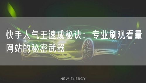 快手人气王速成秘诀：专业刷观看量网站的秘密武器