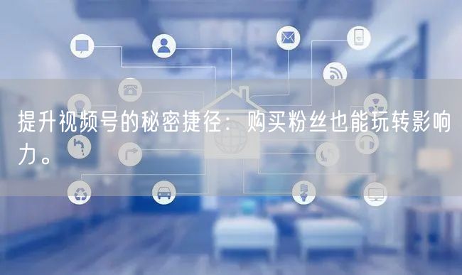 提升视频号的秘密捷径：购买粉丝也能玩转影响力。