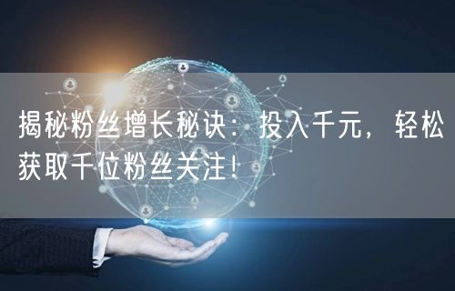 揭秘粉丝增长秘诀：投入千元，轻松获取千位粉丝关注！