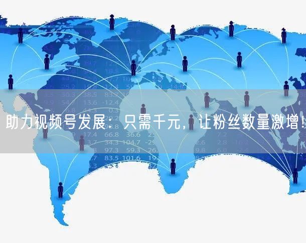 助力视频号发展：只需千元，让粉丝数量激增！