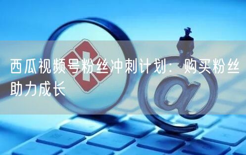 西瓜视频号粉丝冲刺计划：购买粉丝助力成长