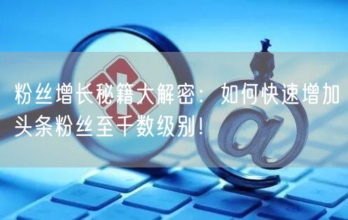 粉丝增长秘籍大解密：如何快速增加头条粉丝至千数级别！