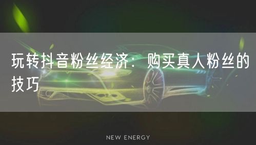 玩转抖音粉丝经济：购买真人粉丝的技巧