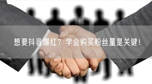 想要抖音爆红？学会购买粉丝量是关键！