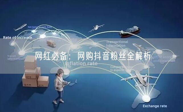 网红必备：网购抖音粉丝全解析