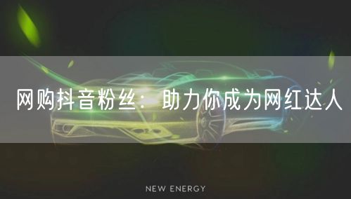 网购抖音粉丝：助力你成为网红达人