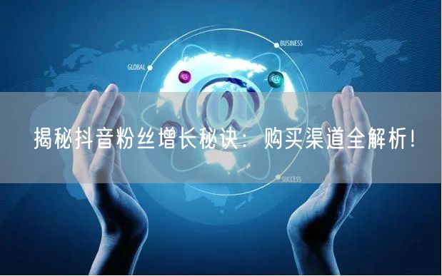 揭秘抖音粉丝增长秘诀：购买渠道全解析！