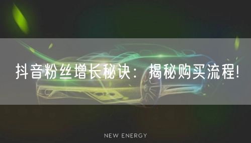 抖音粉丝增长秘诀：揭秘购买流程!