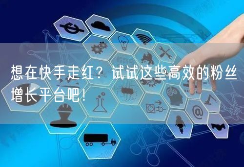 想在快手走红？试试这些高效的粉丝增长平台吧！