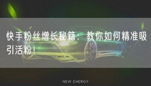 快手粉丝增长秘籍：教你如何精准吸引活粉！