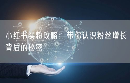 小红书买粉攻略：带你认识粉丝增长背后的秘密
