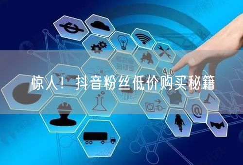 惊人！抖音粉丝低价购买秘籍