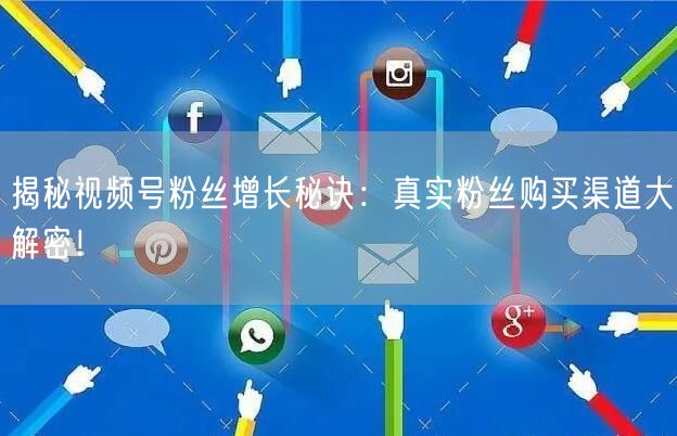 揭秘视频号粉丝增长秘诀：真实粉丝购买渠道大解密！