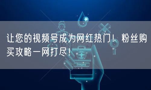 让您的视频号成为网红热门！粉丝购买攻略一网打尽！