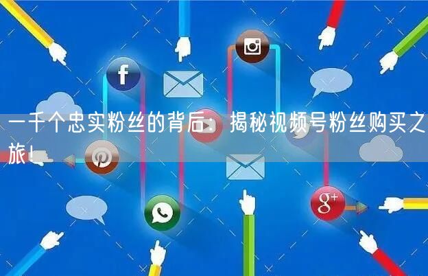 一千个忠实粉丝的背后：揭秘视频号粉丝购买之旅！