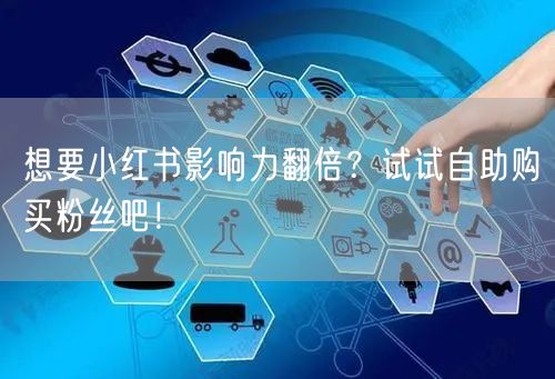 想要小红书影响力翻倍？试试自助购买粉丝吧！