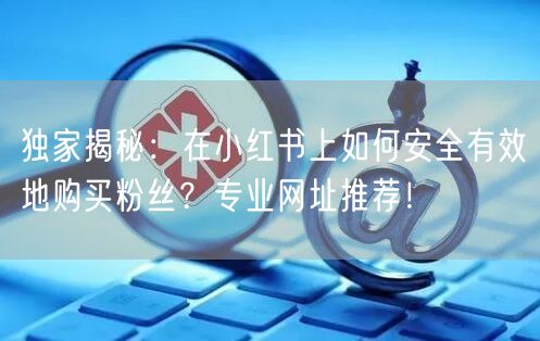 独家揭秘：在小红书上如何安全有效地购买粉丝？专业网址推荐！