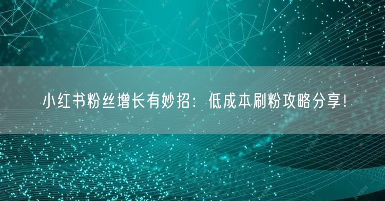 小红书粉丝增长有妙招：低成本刷粉攻略分享！
