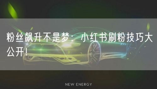 粉丝飙升不是梦：小红书刷粉技巧大公开！