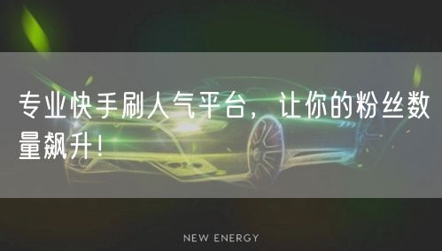 专业快手刷人气平台，让你的粉丝数量飙升！