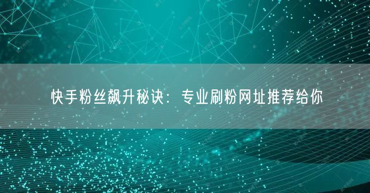 快手粉丝飙升秘诀：专业刷粉网址推荐给你