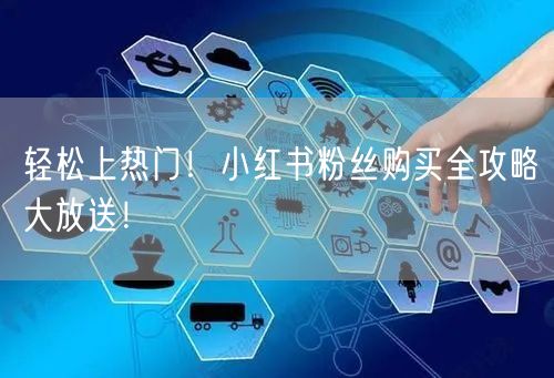轻松上热门！小红书粉丝购买全攻略大放送！