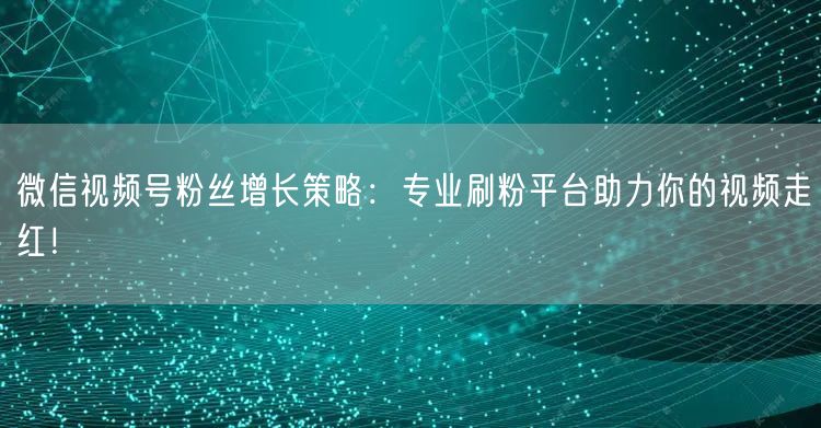微信视频号粉丝增长策略：专业刷粉平台助力你的视频走红！