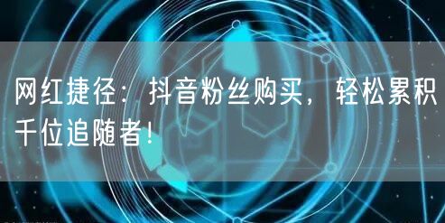 网红捷径：抖音粉丝购买，轻松累积千位追随者！
